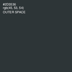 #2D3536 - Outer Space Color Image